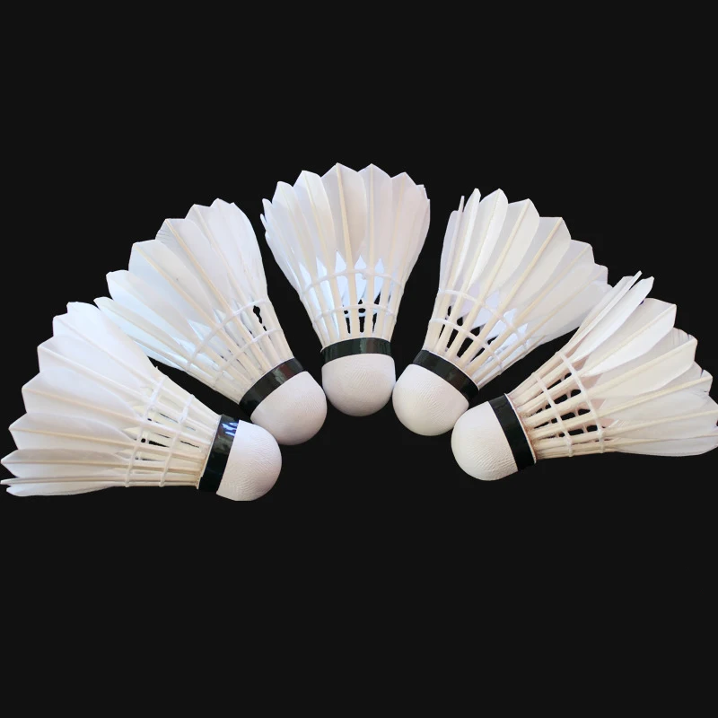 Custom Logo Goose Feather Club - огляд і ціна Badminton Club Logo