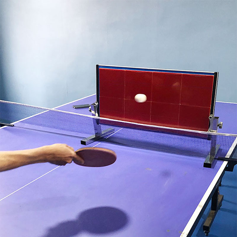 Home Table Tennis Rebound Boar - огляд і ціна Badminton Rebound Trainer